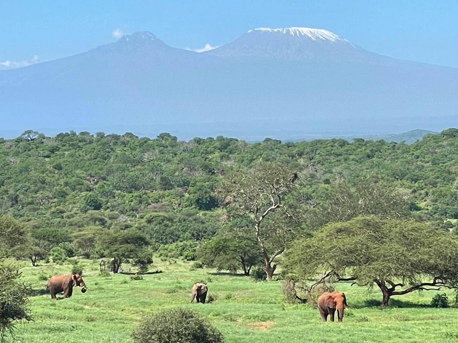Kilaguni Serena Safari Lodge Tsavo Exterior foto