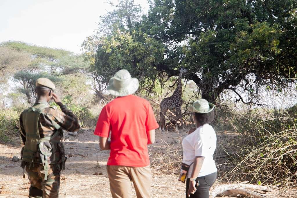 Kilaguni Serena Safari Lodge Tsavo Facilidades foto