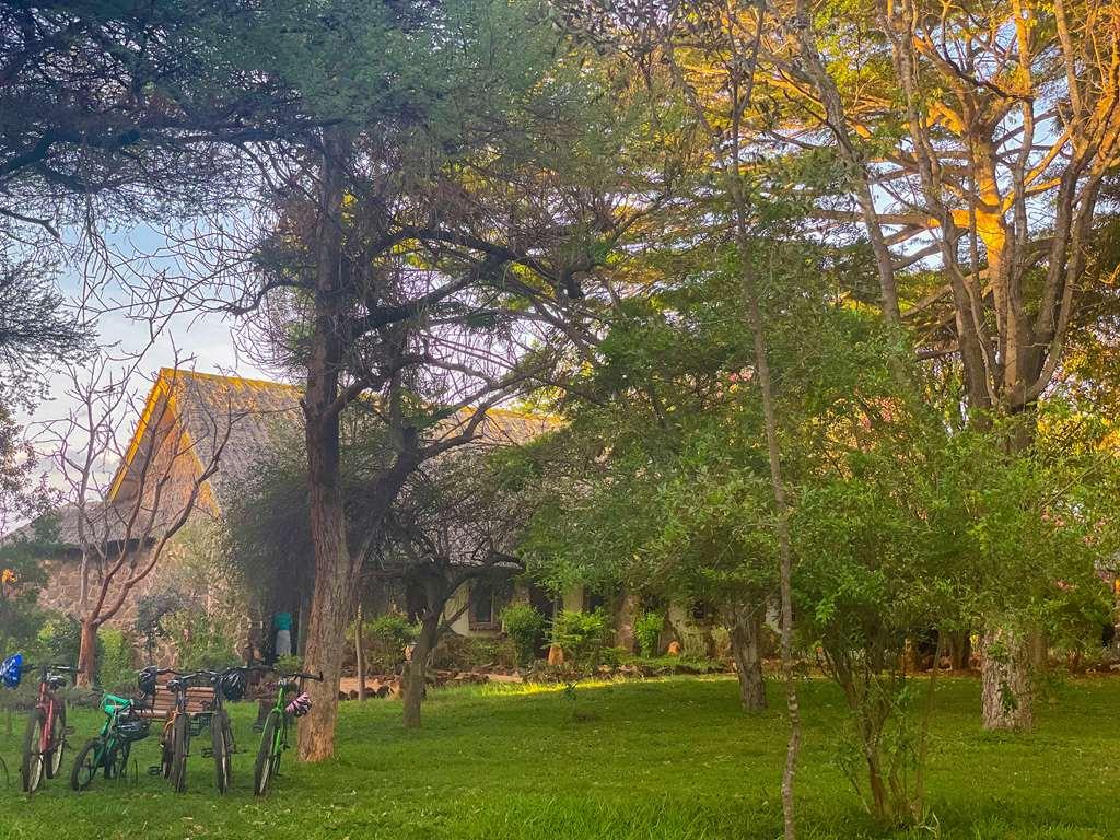 Kilaguni Serena Safari Lodge Tsavo Facilidades foto